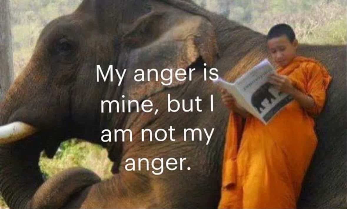 love drops tweet media