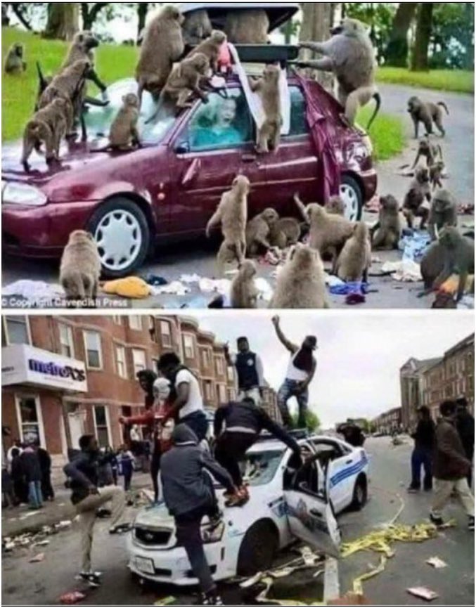 mashfique84 tweet media