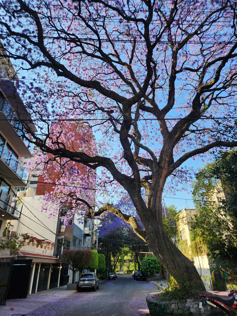 Abbey Kingsley ?🎃 tweet media