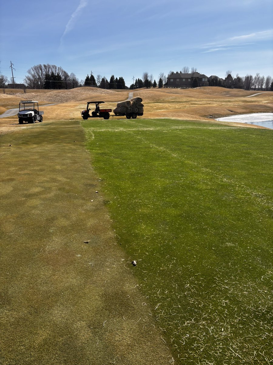 Zach Wignall tweet media