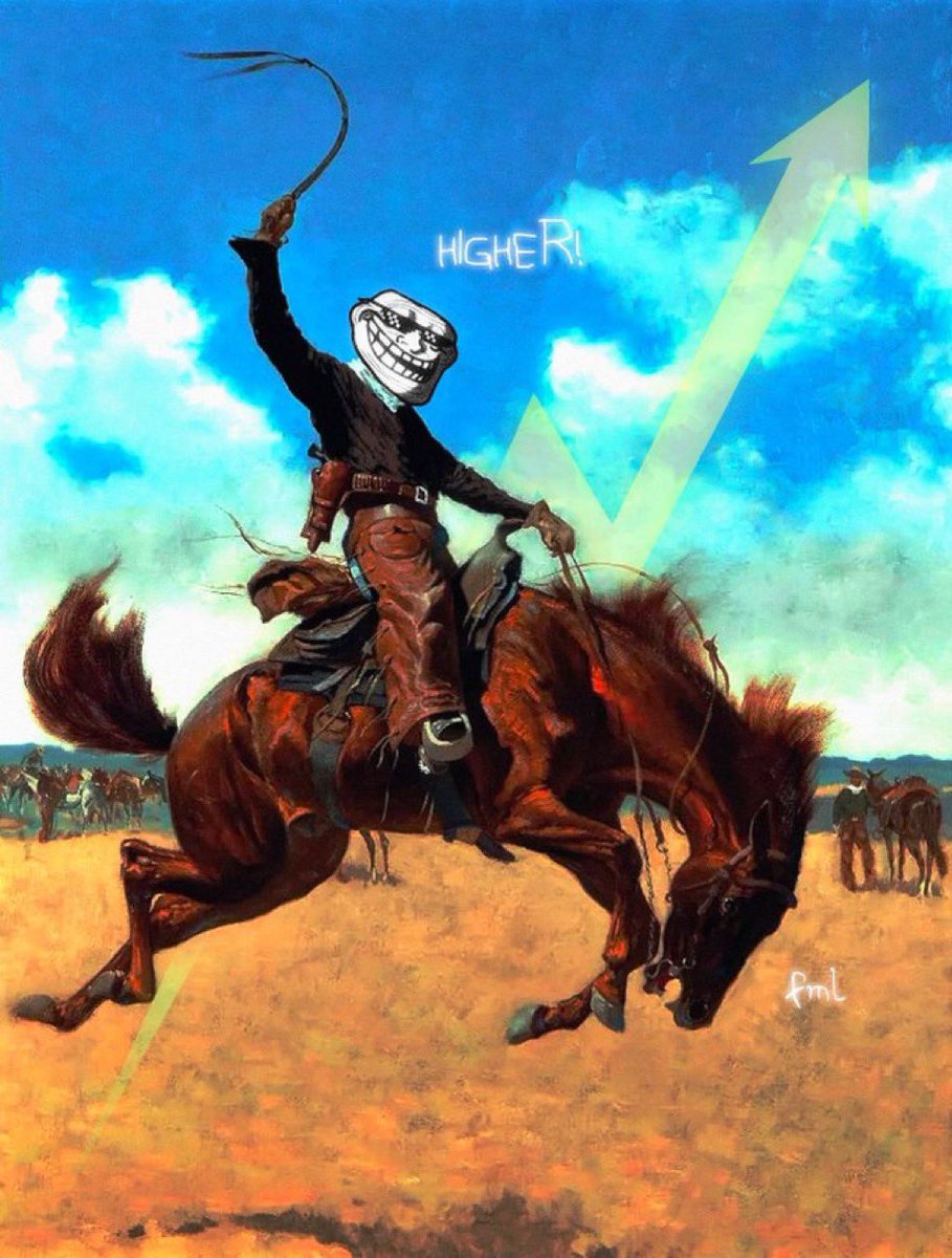 Socko ™️ tweet media