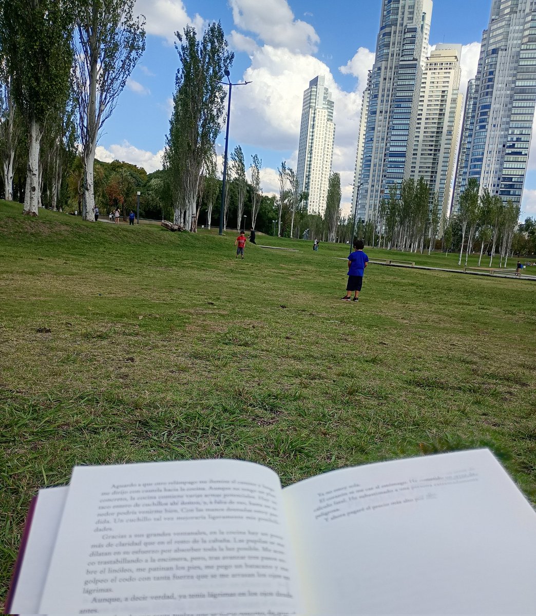 Llegó el día que leo un libro mientras juegan a la pelota? Llegó el día que leo un libro mientras juegan a la pelota! 💪🏻💪🏻💪🏻