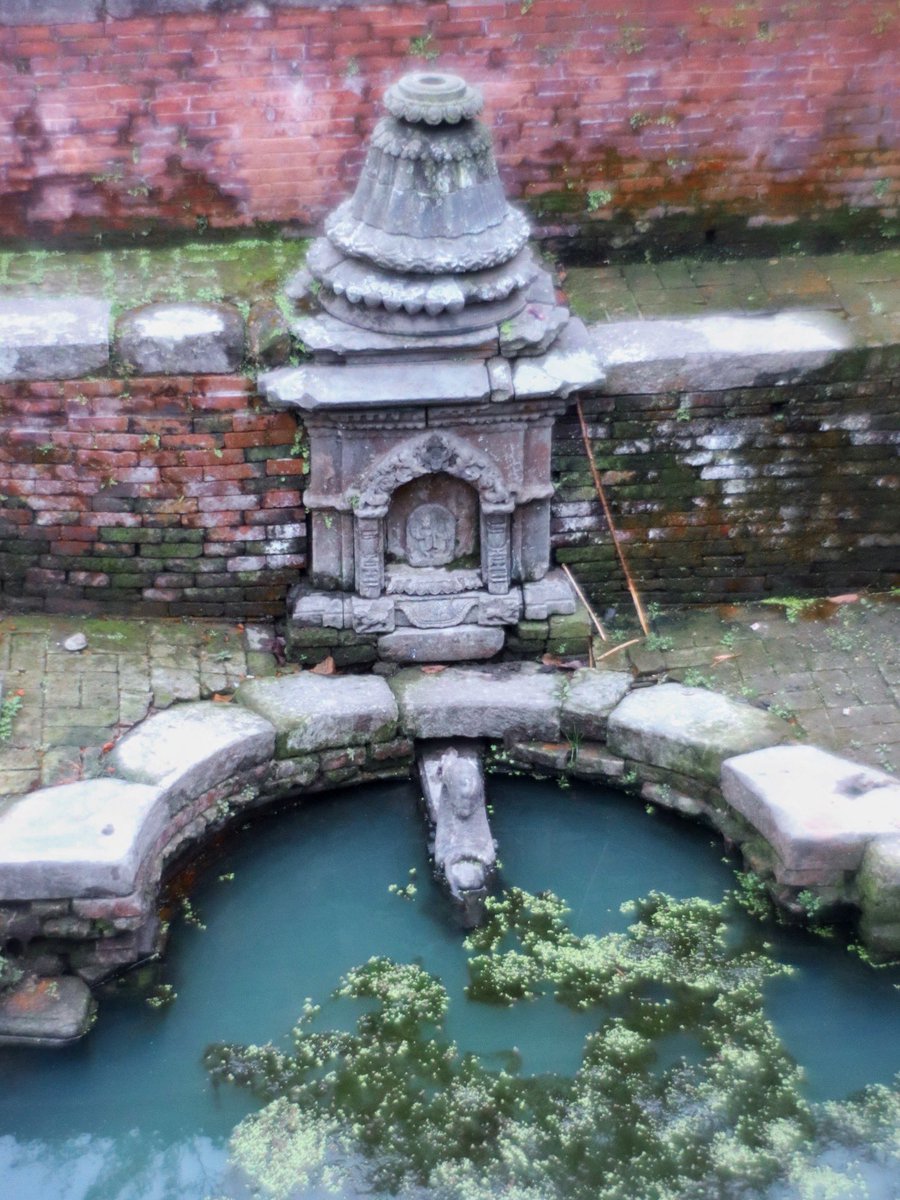 chiikawa enthusiast tweet media