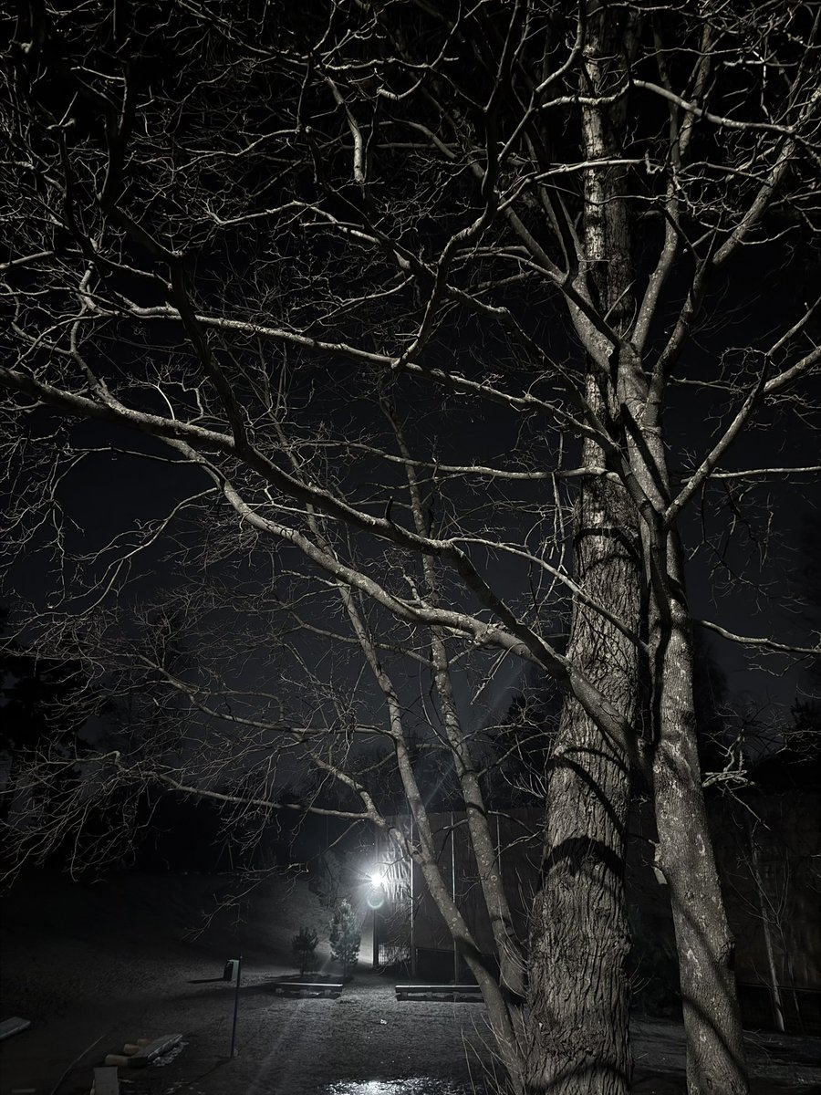 Overthinker (@id70320) on Twitter photo 