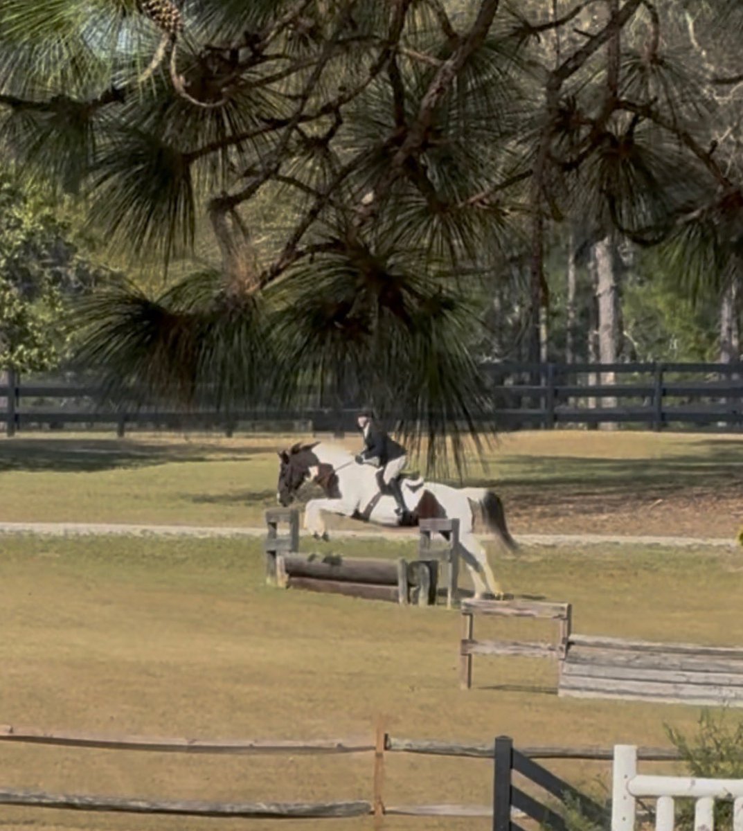 Trinity Collegiate School Titans tweet media