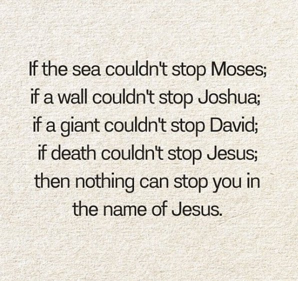 Holy Bible tweet media