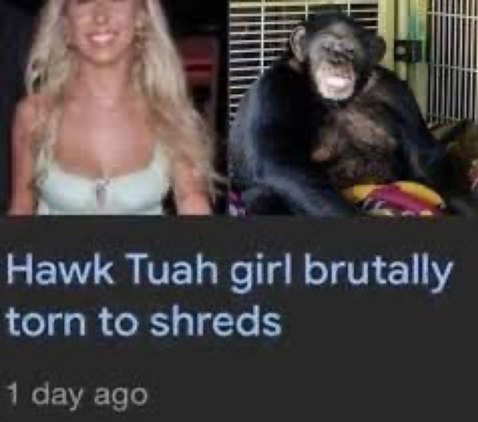 Coastal Elite tweet media