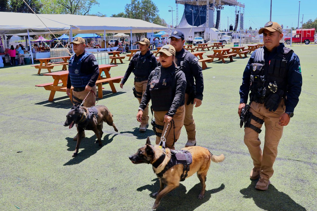 vmpuebla's tweet image. Metrópoli| Reporta San #Andrés Cholula saldo #blanco en el ‘Festival #Equinoccio2026’

@LupitaCuautleT
@SSPPCSnAndresCH
@SnAndresOficial

#VisiónMetrópoli 

Visítanos 
visionmetropoli.com  

visionmetropoli.com/reporta-san-an…