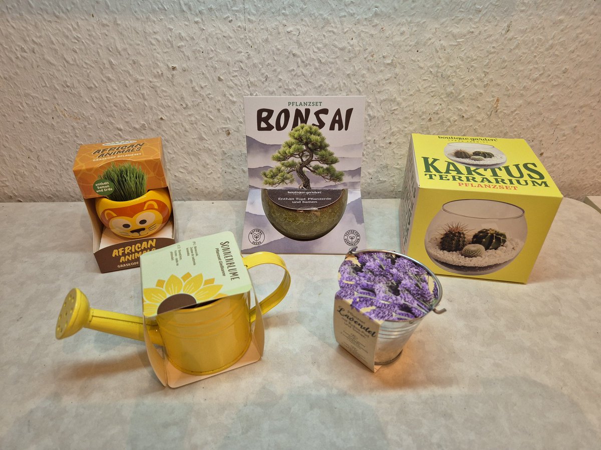 Antje Strauch tweet media