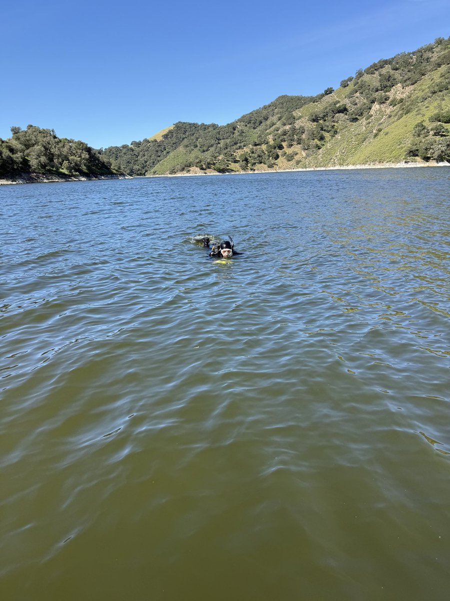 SLO County Sheriff tweet media