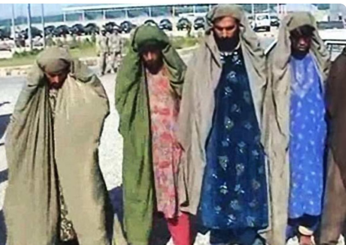 Afghanistan Observer tweet media