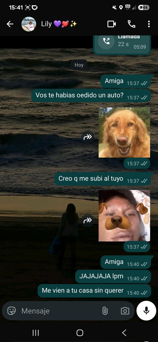 Ine Civit tweet media