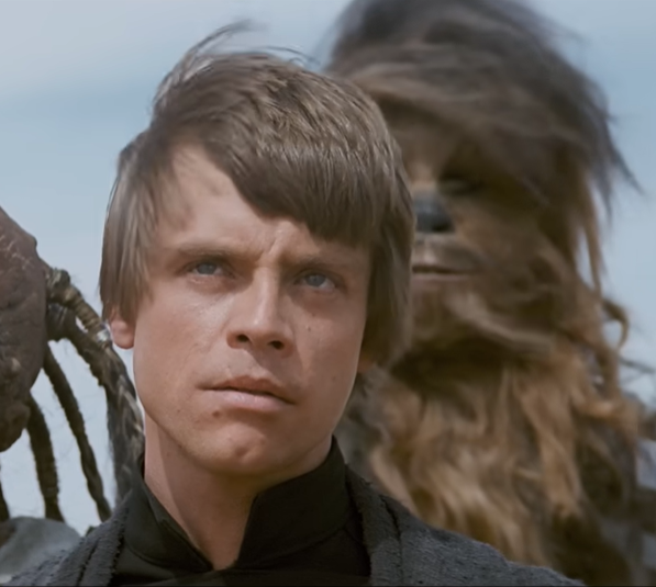 Fandom Pulse tweet media