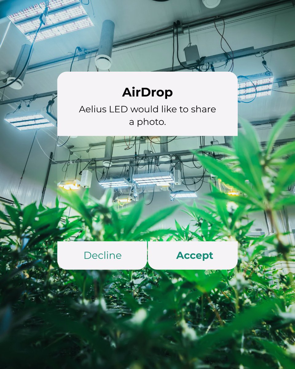 Aelius LED tweet media