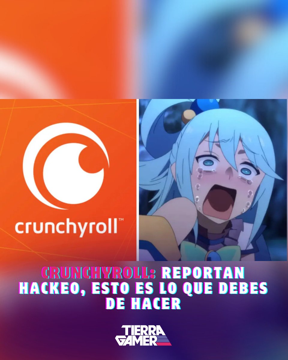 TierraGamer tweet media