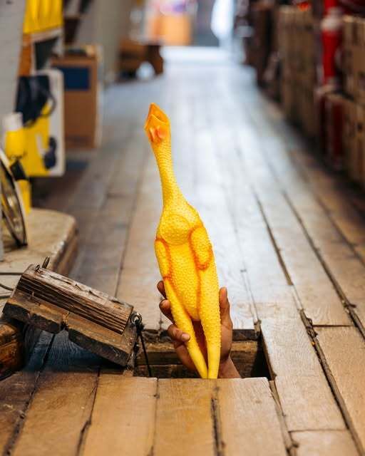 Mast General Store tweet media