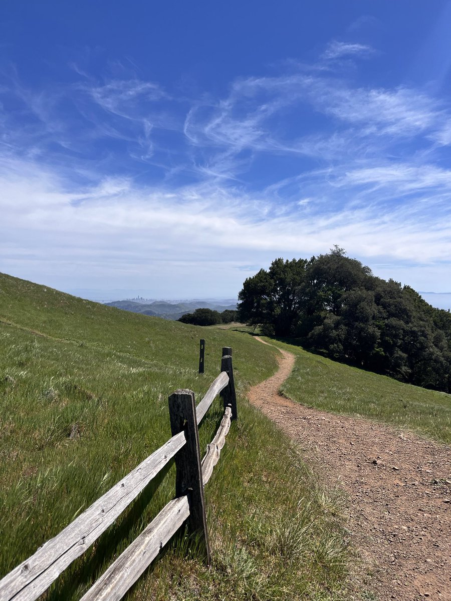 Kevin Cummings tweet media