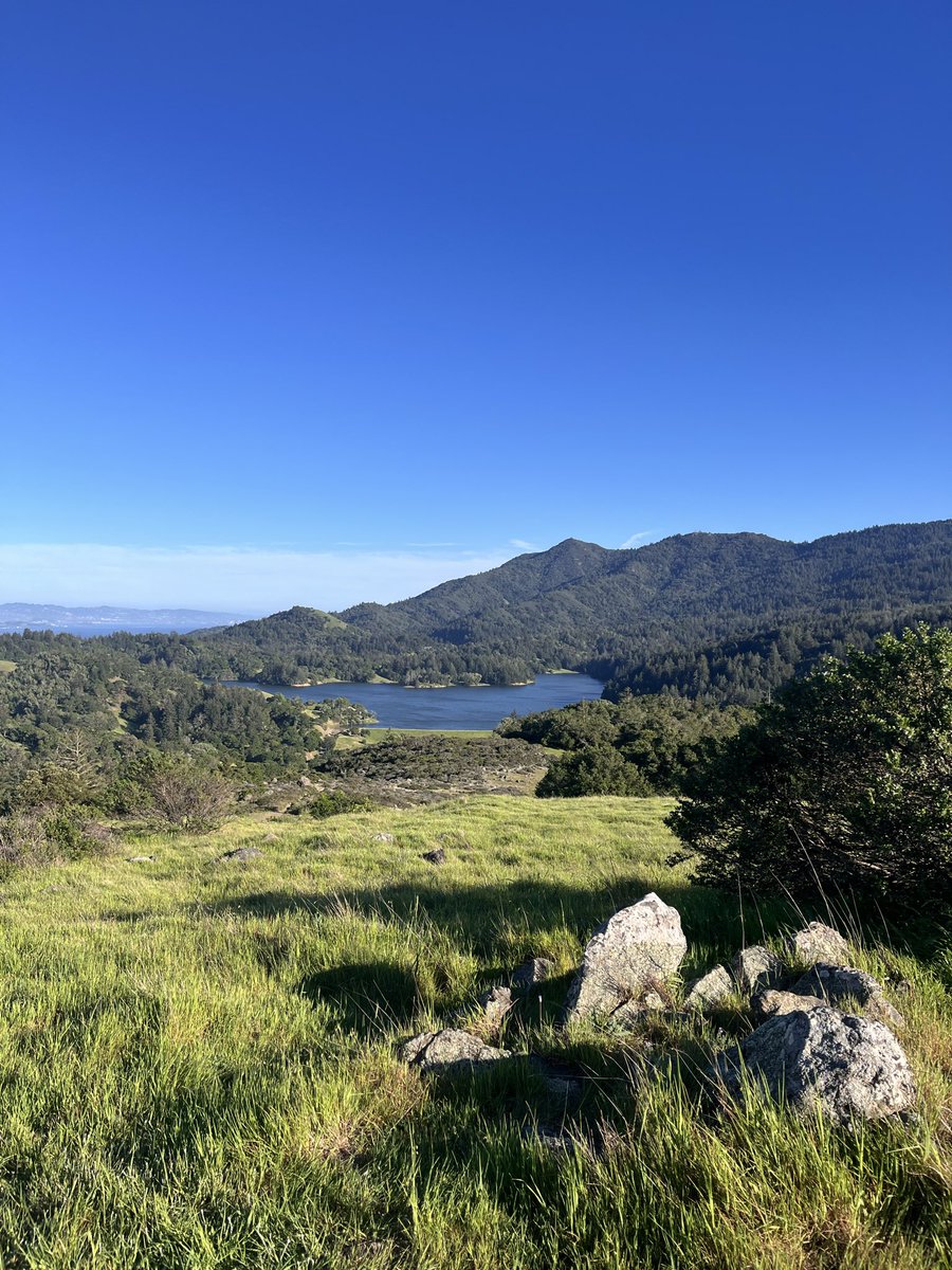 Kevin Cummings tweet media