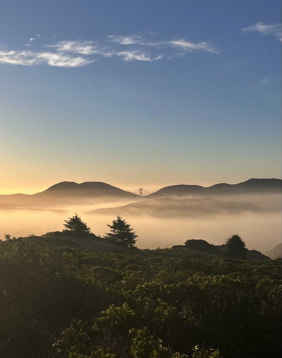 Kevin Cummings tweet media