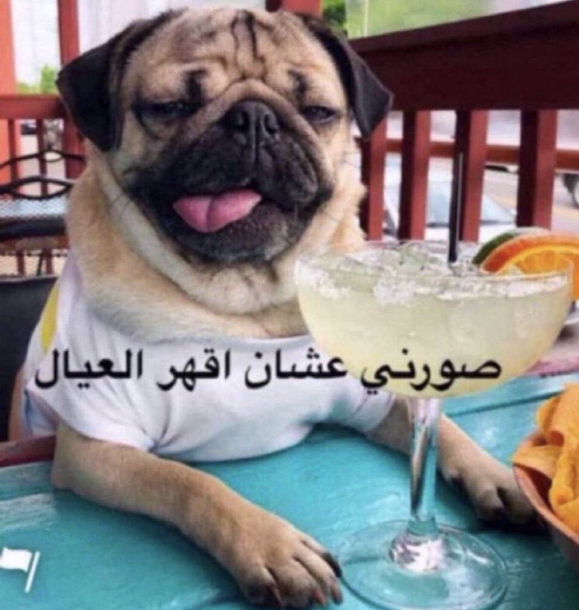 🤴🏻 tweet media