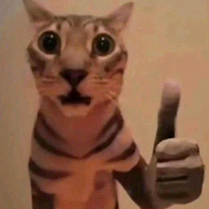 Salvatore tweet media