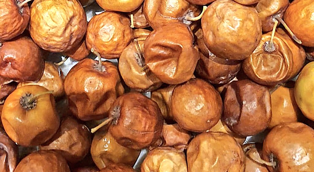 إبراهيم جبران tweet media