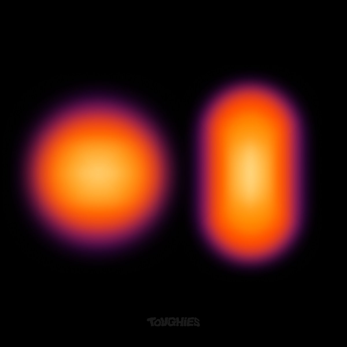 Toughies tweet media