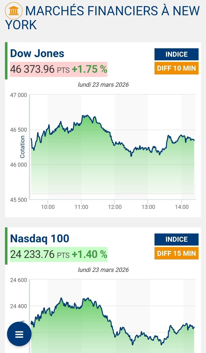 Zephy Zephyra tweet media