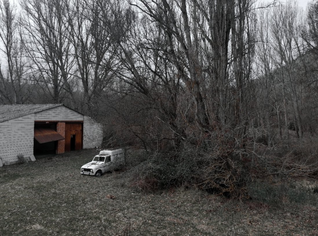 Alba 🌾 tweet media