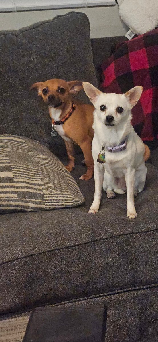 Lee Davis ✝️ tweet media