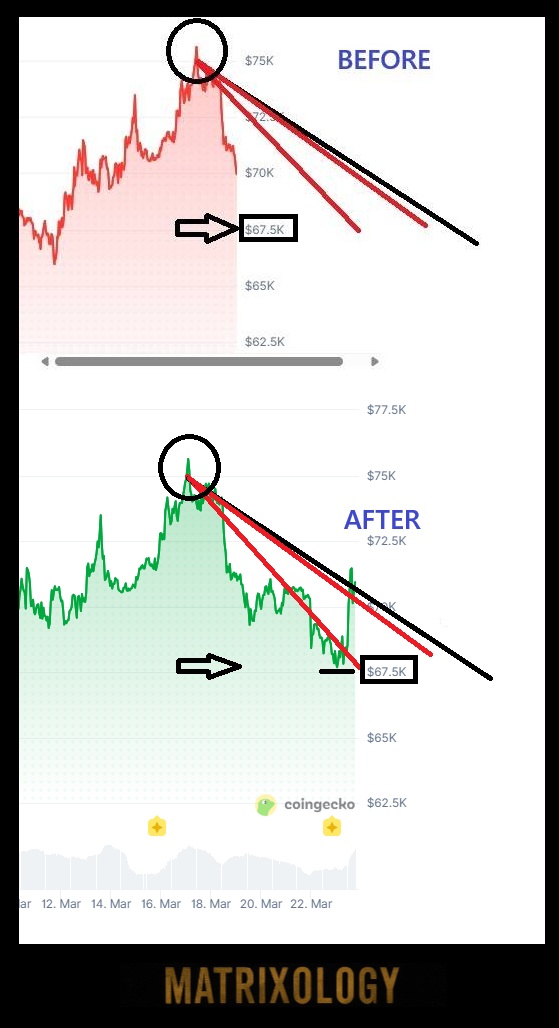 The Matrixology +21.1k tweet media
