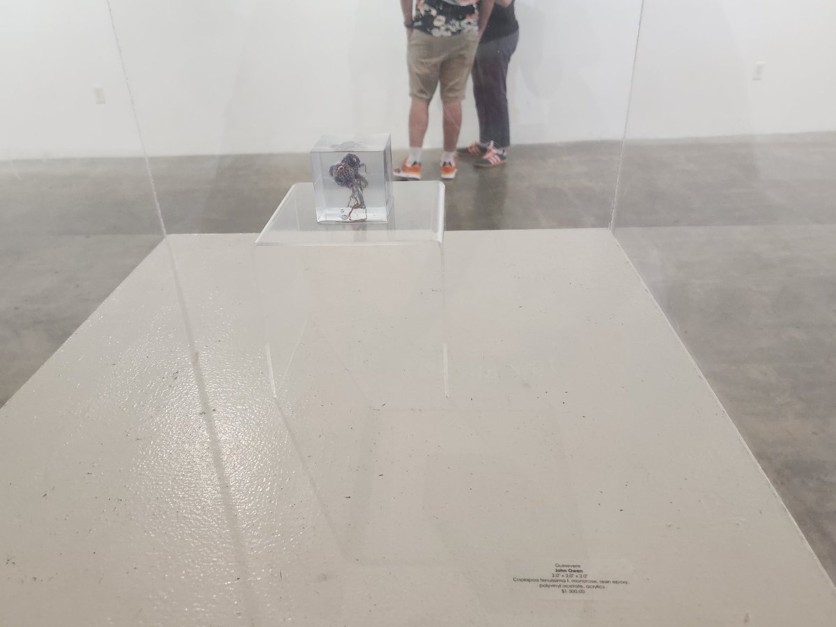 CarouSol tweet media