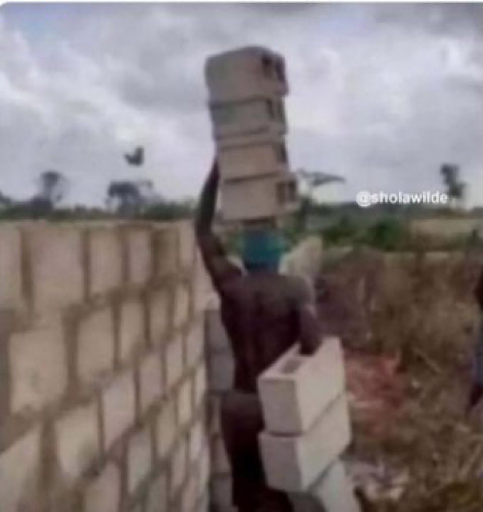 21🇿🇦 tweet media