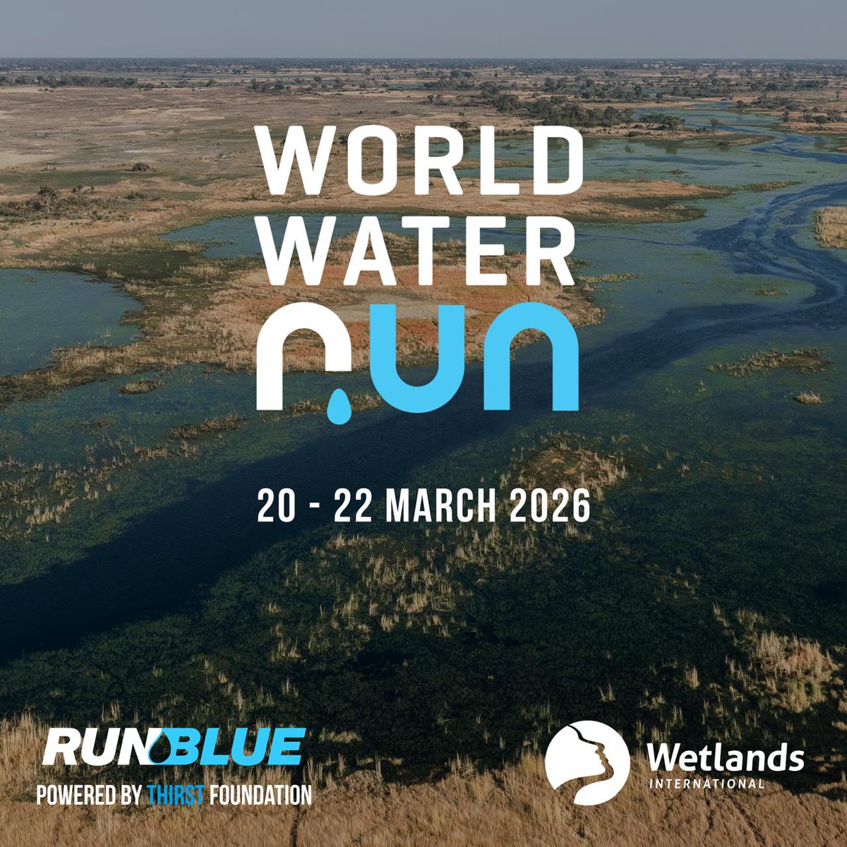 Birgit Lamm tweet media