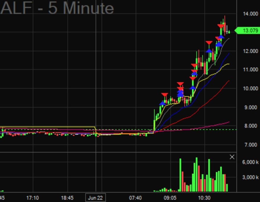Stonk-Trafficker tweet media