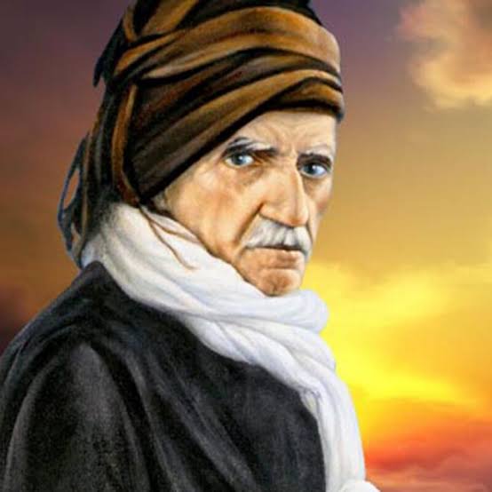 Español 🇪🇦🇩🇪 tweet media