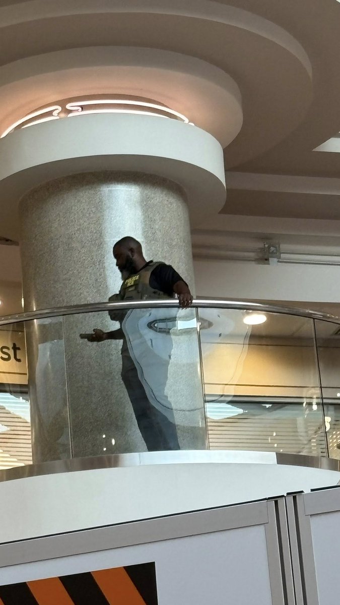 Everything Georgia tweet media