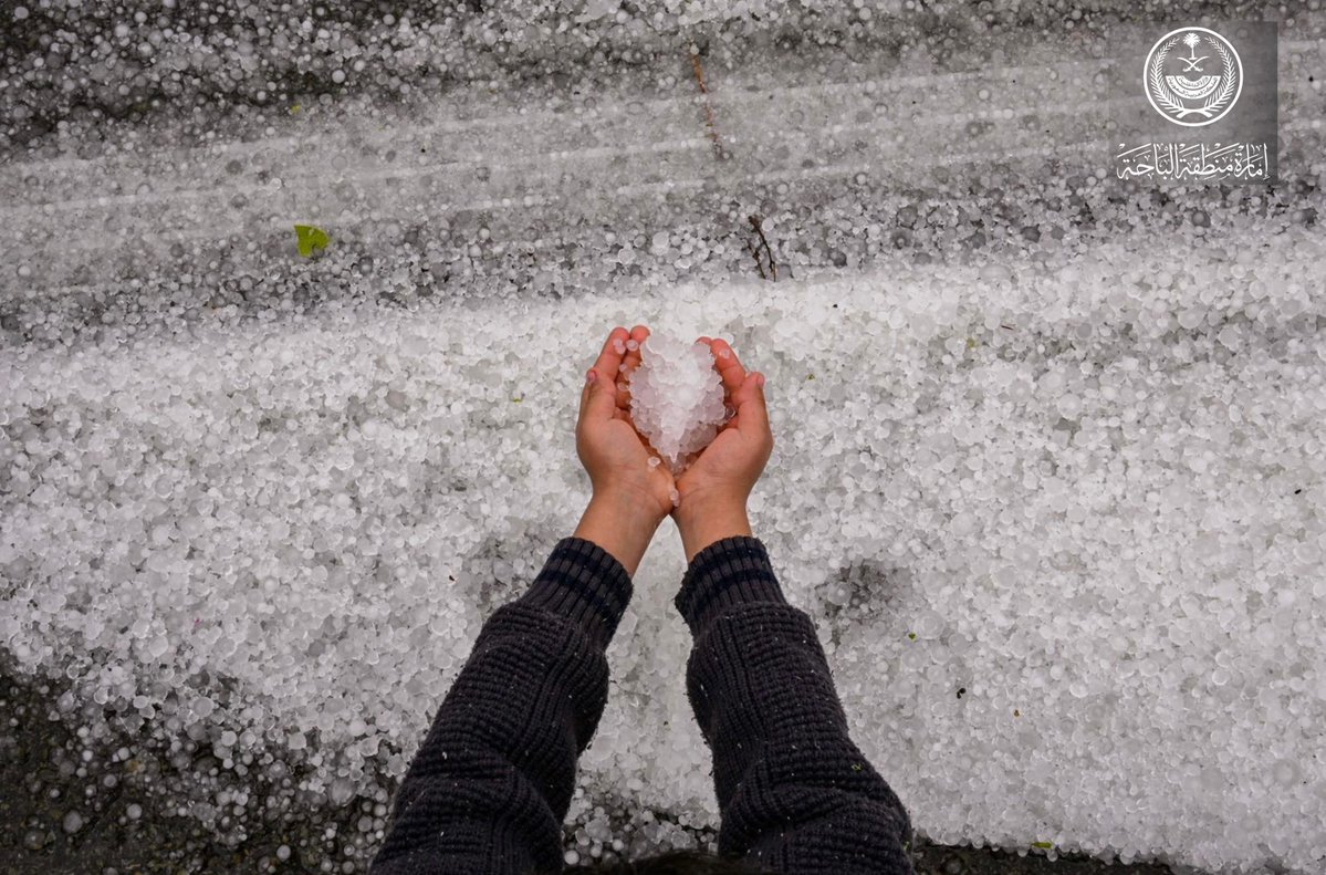 إمارة منطقة الباحة tweet media