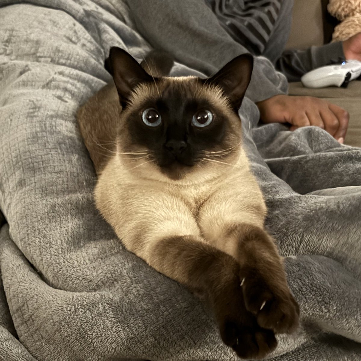 angel ᶻ 𝗓 𐰁 tweet media