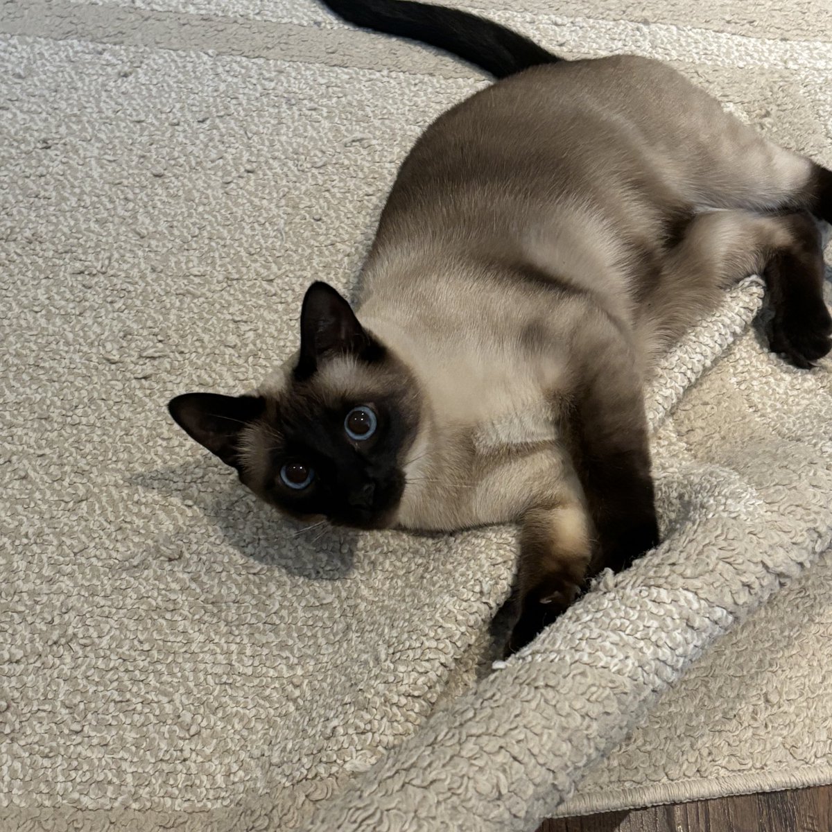 angel ᶻ 𝗓 𐰁 tweet media