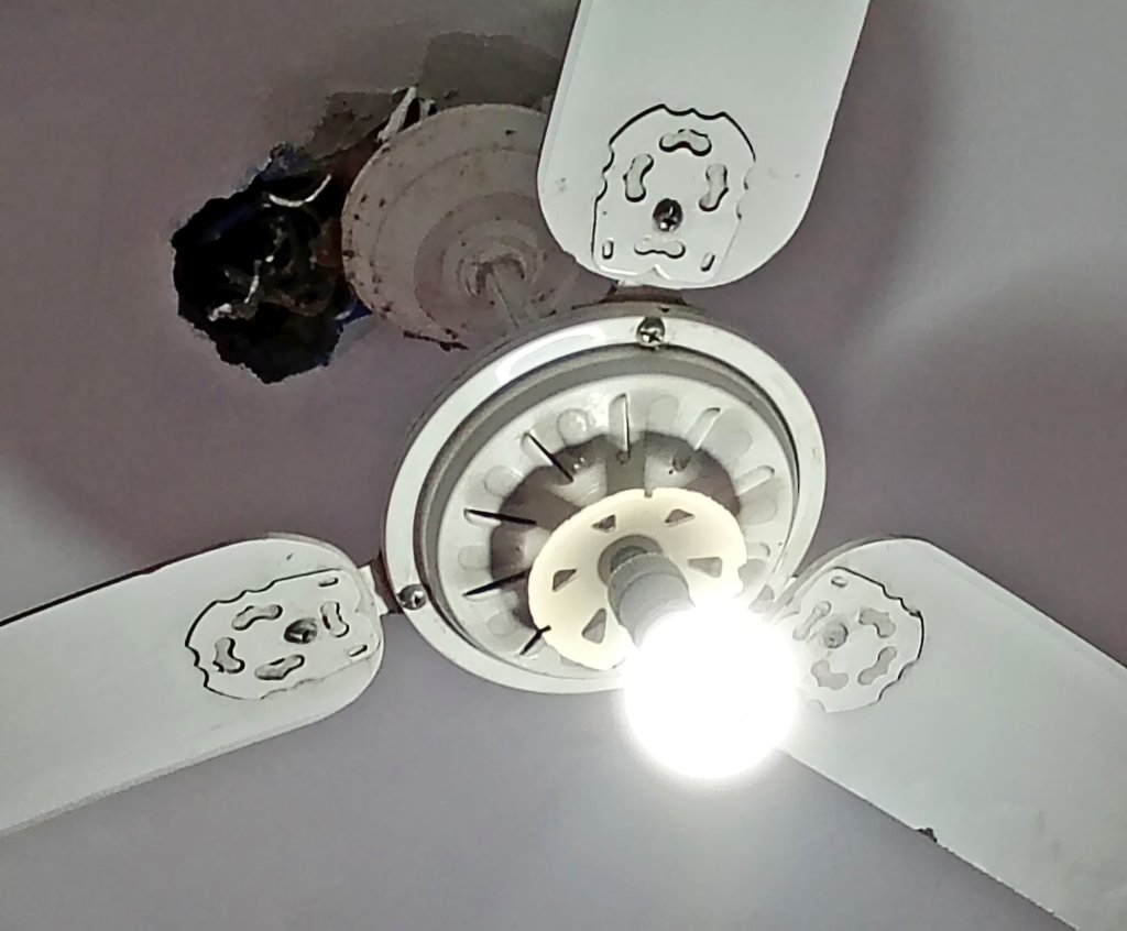 𝑩𝒓𝒊𝒂𝒏𝒆 𝑵. 𝑹. 𝑪𝒐𝒔𝒕𝒂 tweet media