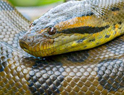 Stats Globe tweet media