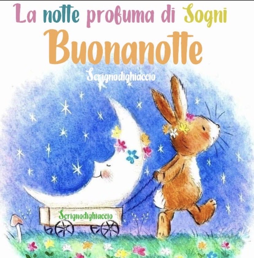 Maria Rita tweet media