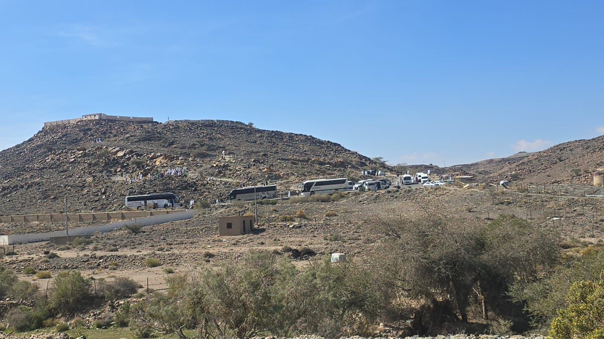 هاني قفاص tweet media