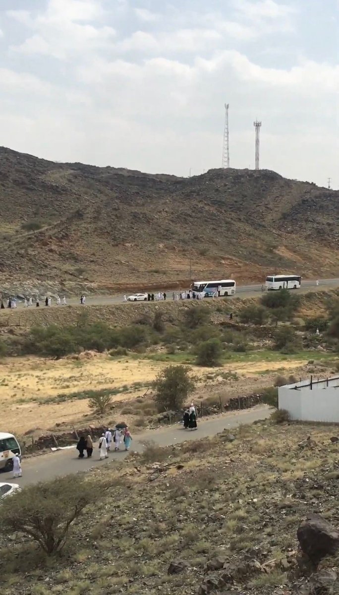 هاني قفاص tweet media