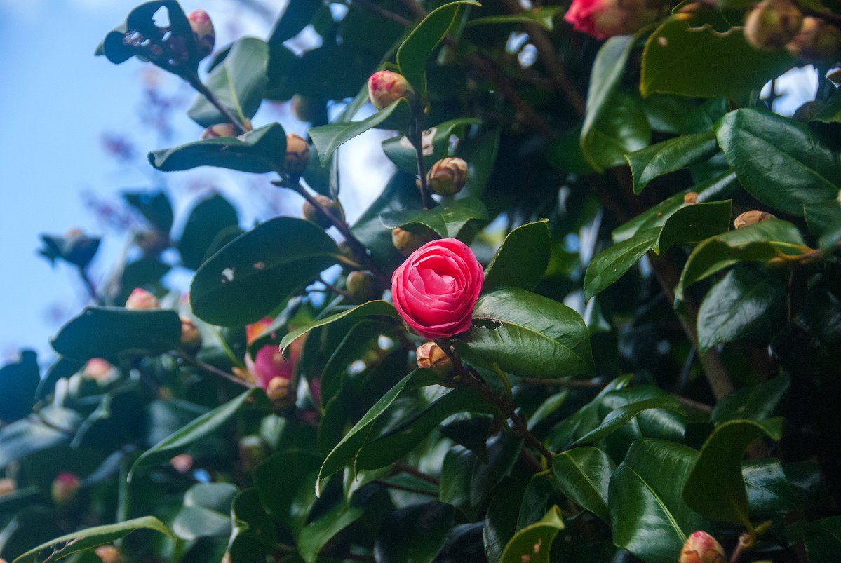 nzworkdown tweet media