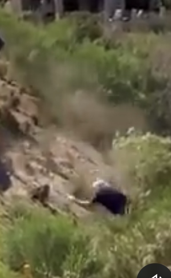 TheDipState tweet media