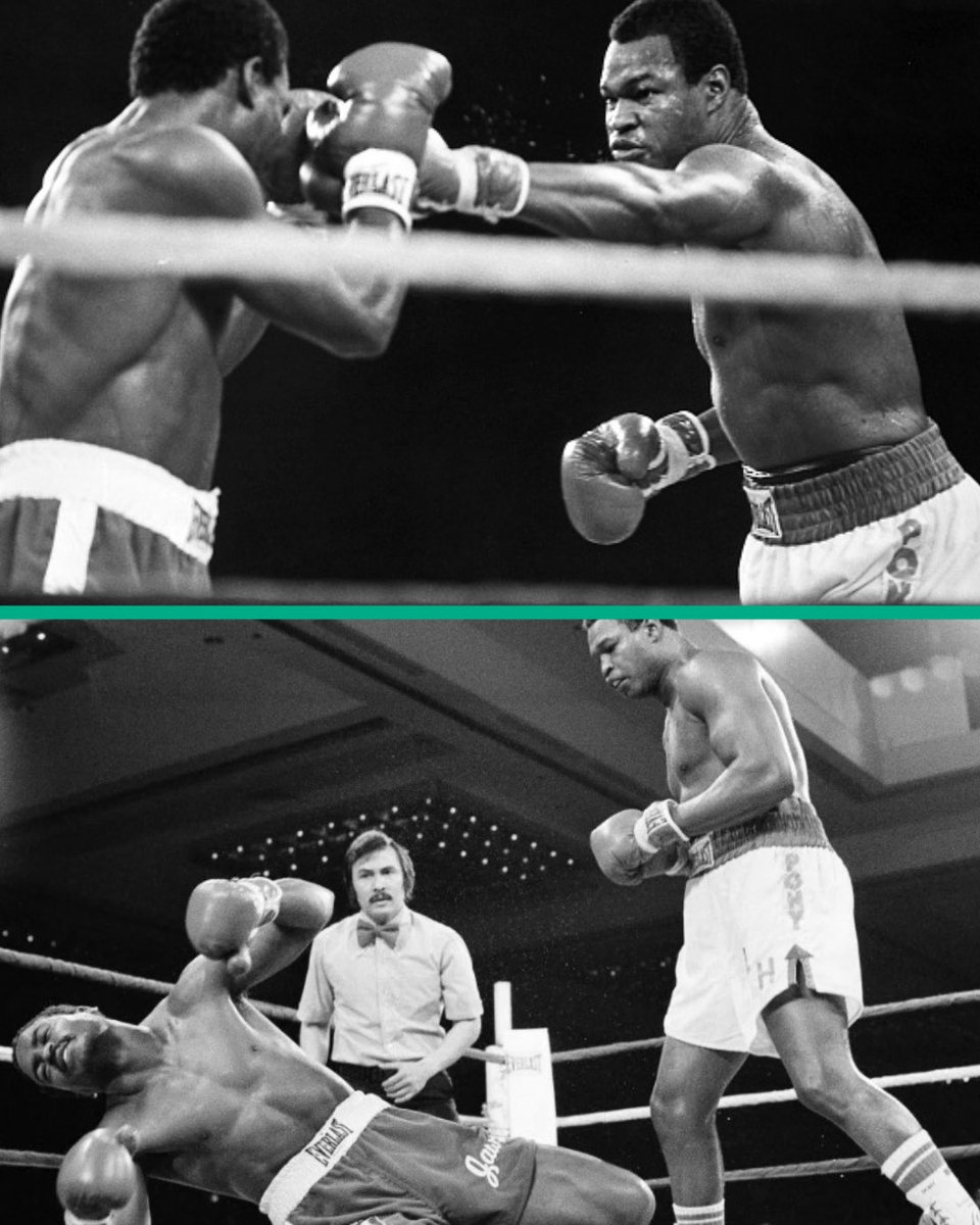 World Boxing Council tweet media