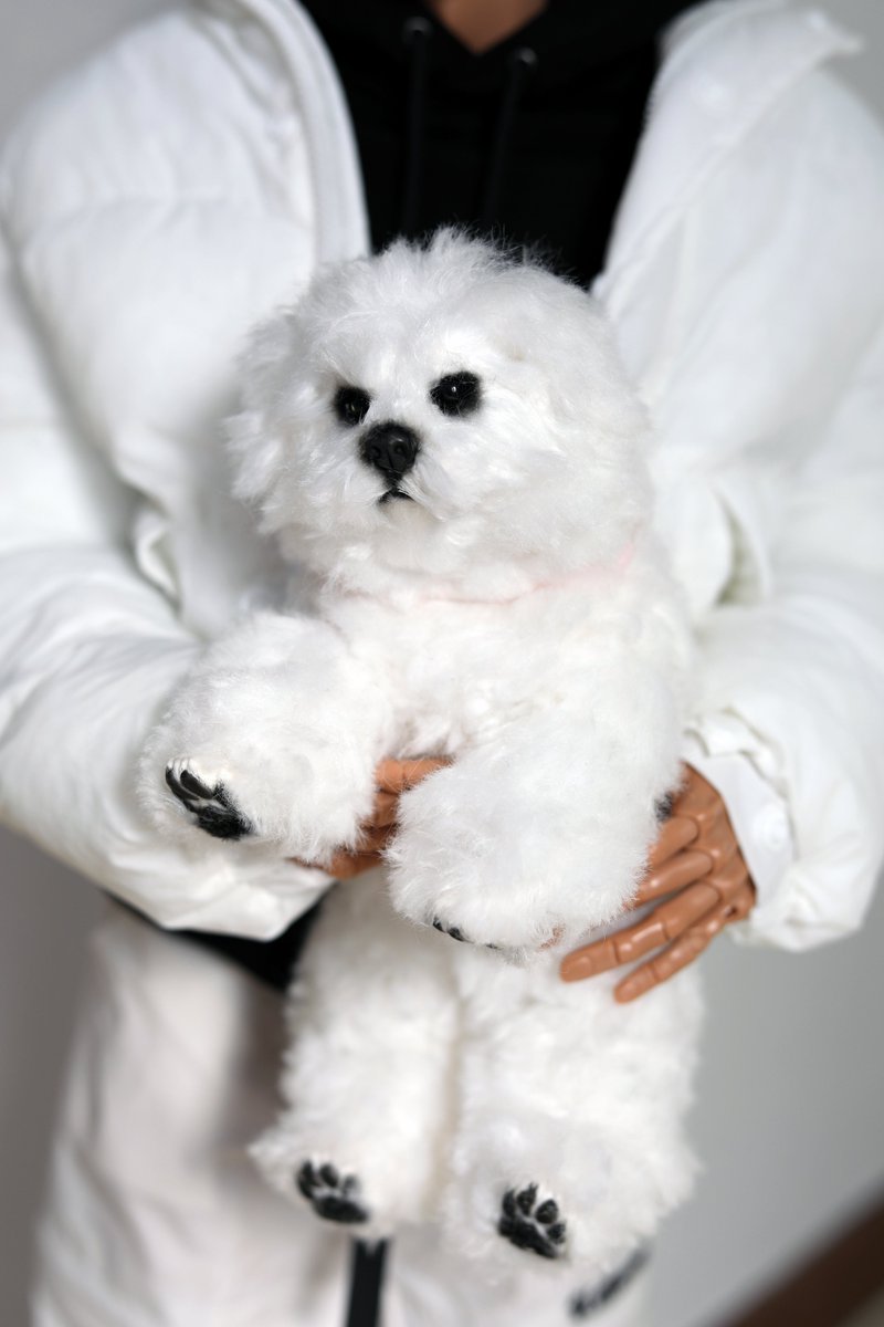 너울 🌊 tweet media