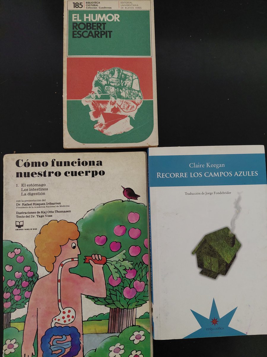 simpática y puntual tweet media